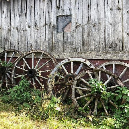 Schwarzwaldidyll Lejlighed Todtmoos Eksteriør billede